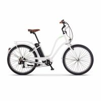 Elektrokolo Apache GAAGII 26" LADY bílá 2017