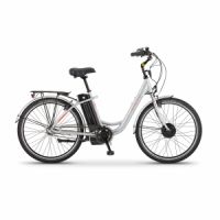 Elektrokolo Apache TANKA NEXUS 26" stříbrná 2017 - slim baterie - vzorek