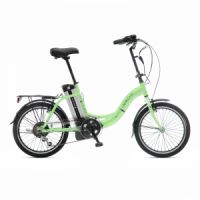 Elektrokolo Apache El Eco 20" V2 zelená testovací