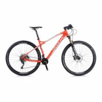 Kolo MTB Apache Hawk 29" A1 2017