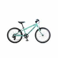 Kolo dětské Apache 20“ Beetle zelená 2018
