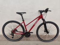 Levit Simur LE 28" Red pearl mid